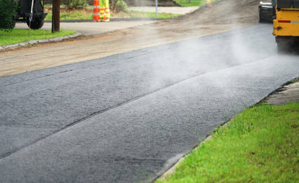 Best Best Driveway Pavers  in Picacho Hills, NM